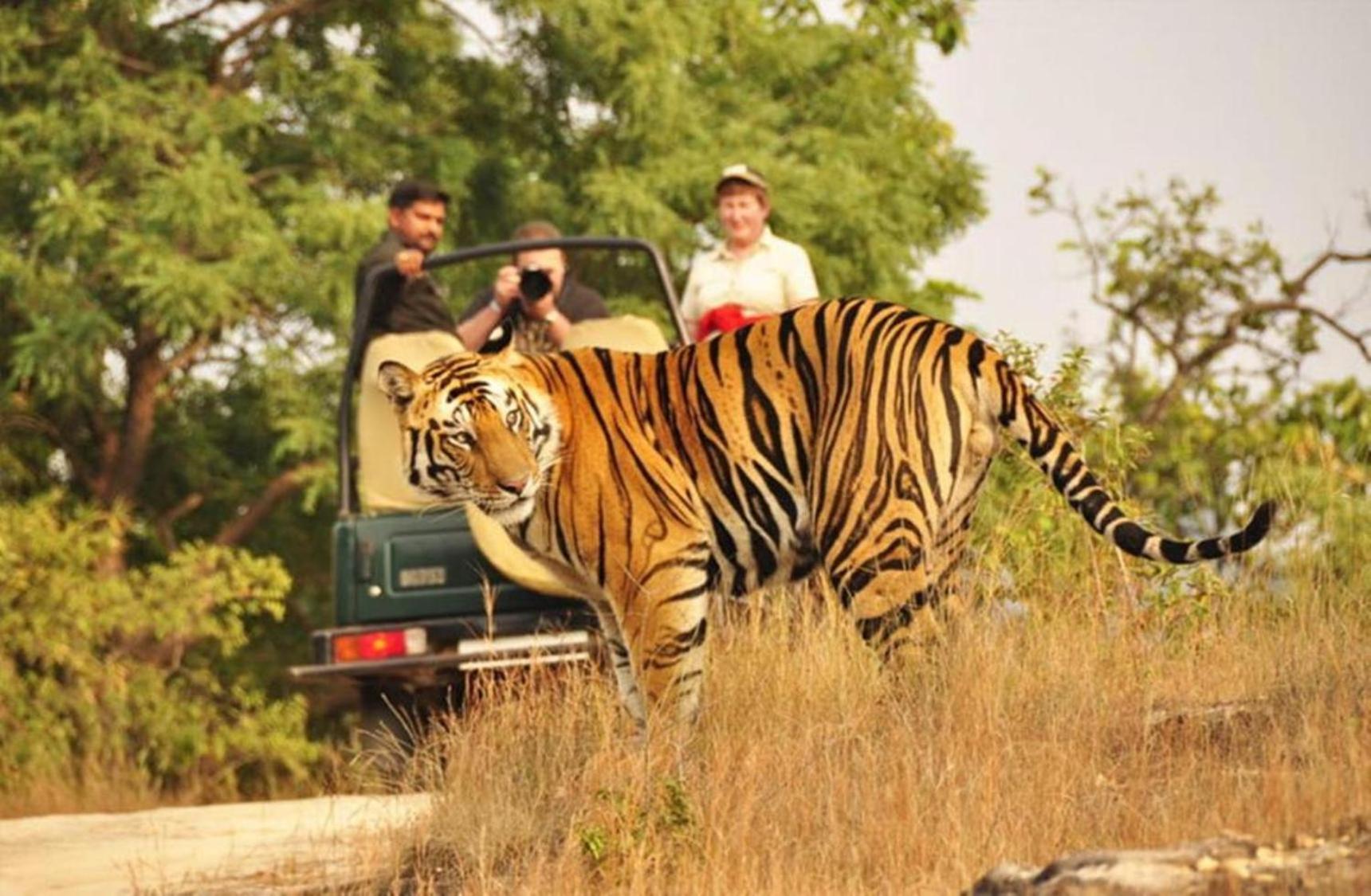 فندق The Vanashrya Ranthambore Khilchīpur المظهر الخارجي الصورة